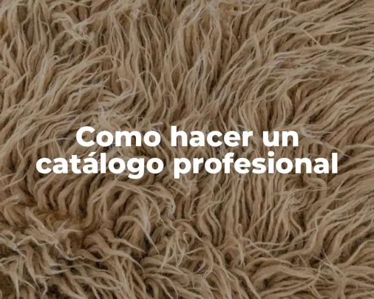 Como hacer un catálogo profesional
