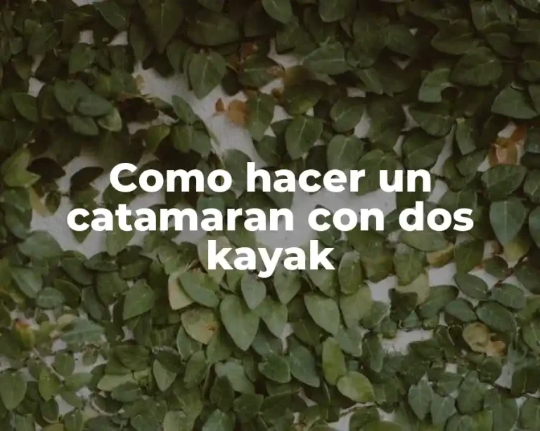 Como hacer un catamaran con dos kayak