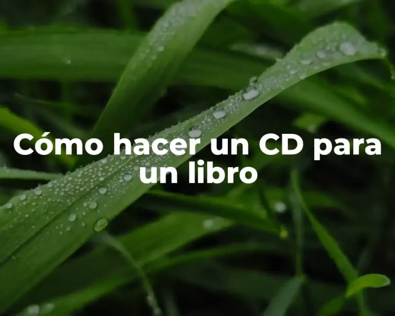 Cómo hacer un CD para un libro
