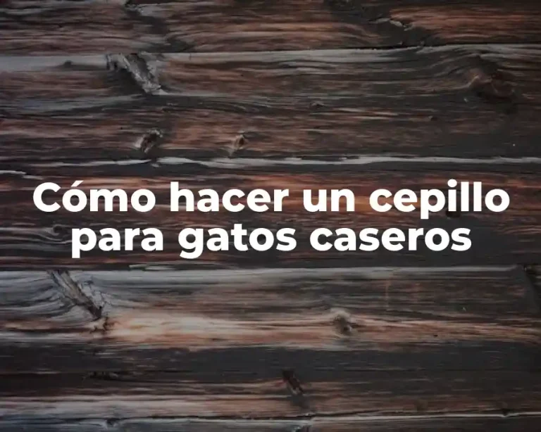 Cómo hacer un cepillo para gatos caseros