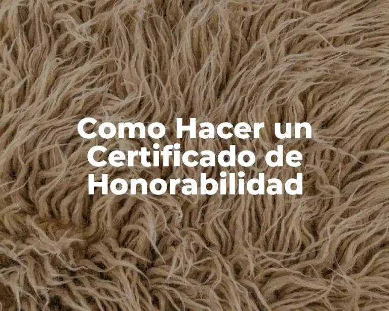 Como Hacer un Certificado de Honorabilidad