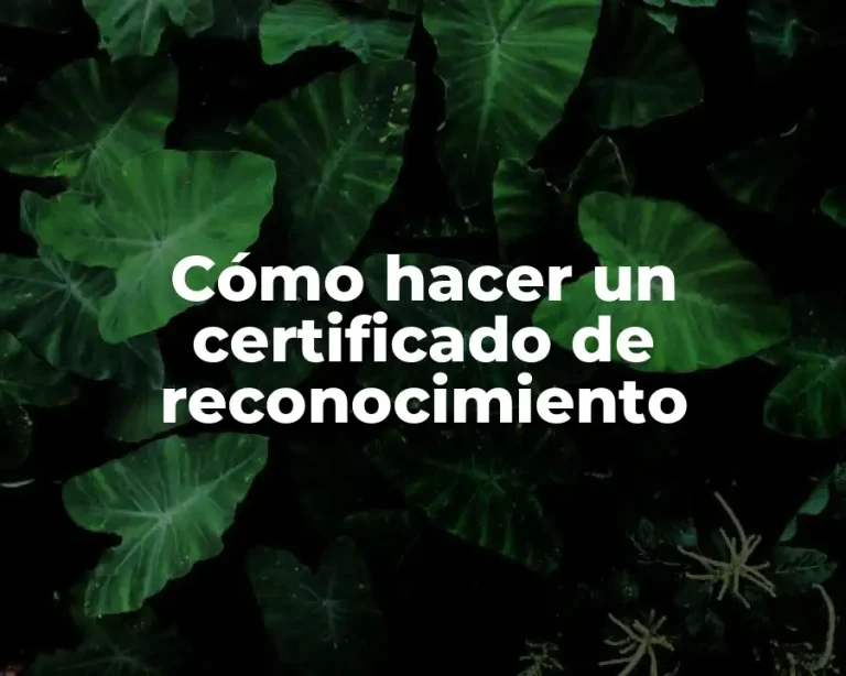 Cómo hacer un certificado de reconocimiento