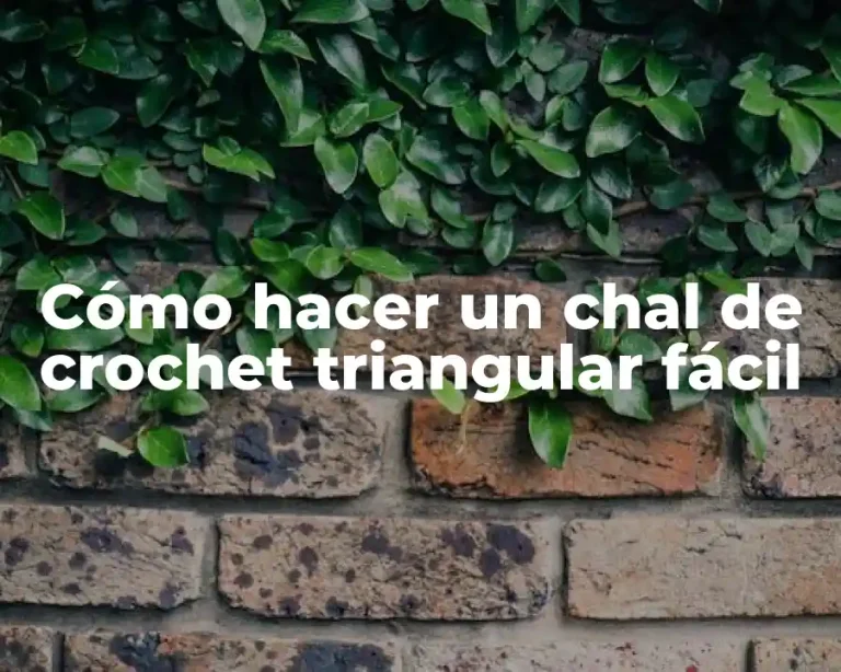 Cómo hacer un chal de crochet triangular fácil