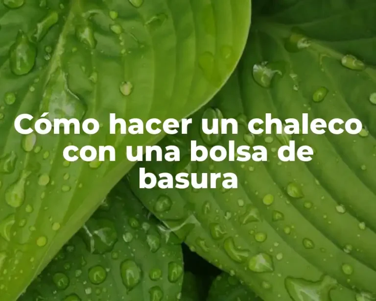 Cómo hacer un chaleco con una bolsa de basura