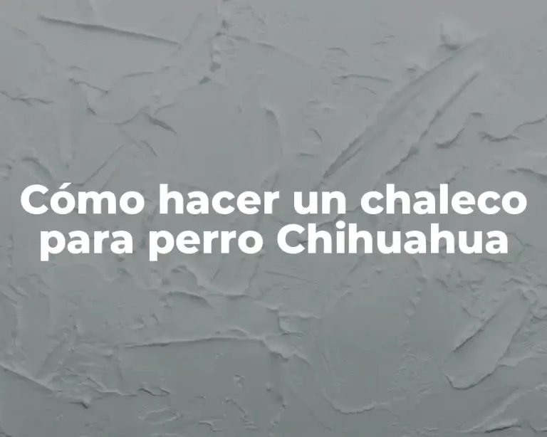 Cómo hacer un chaleco para perro Chihuahua