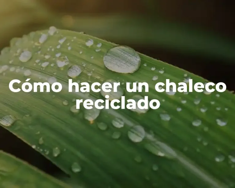 Cómo hacer un chaleco reciclado