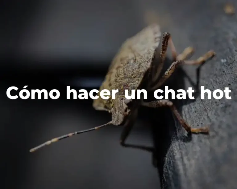 Cómo hacer un chat hot