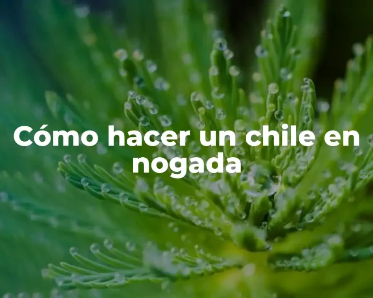 Cómo hacer un chile en nogada