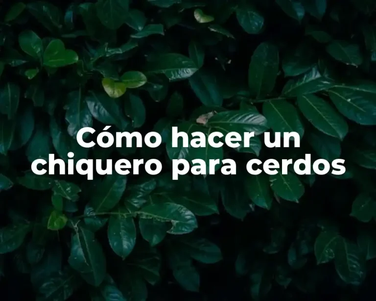 Cómo hacer un chiquero para cerdos