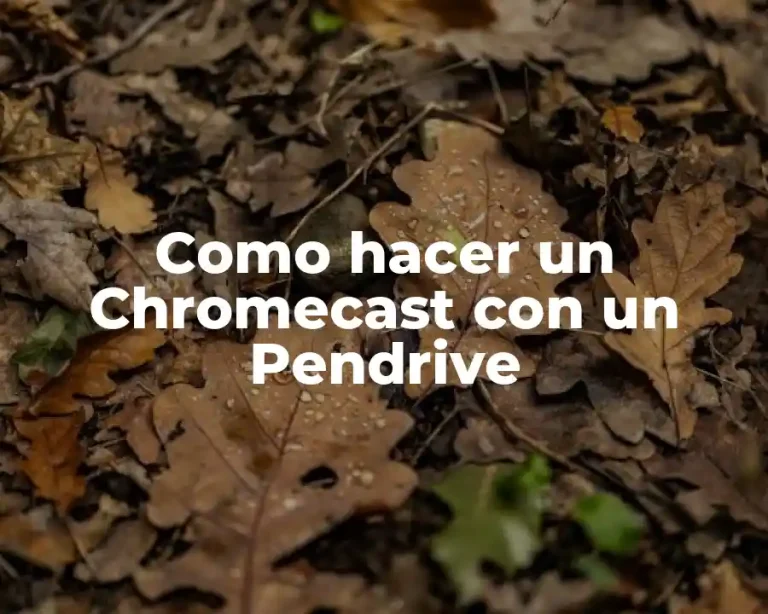 Como hacer un Chromecast con un Pendrive
