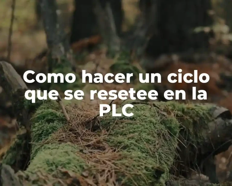 Como hacer un ciclo que se resetee en la PLC