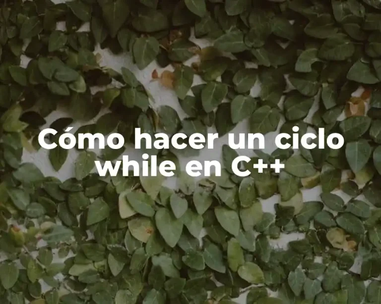 Cómo hacer un ciclo while en C++