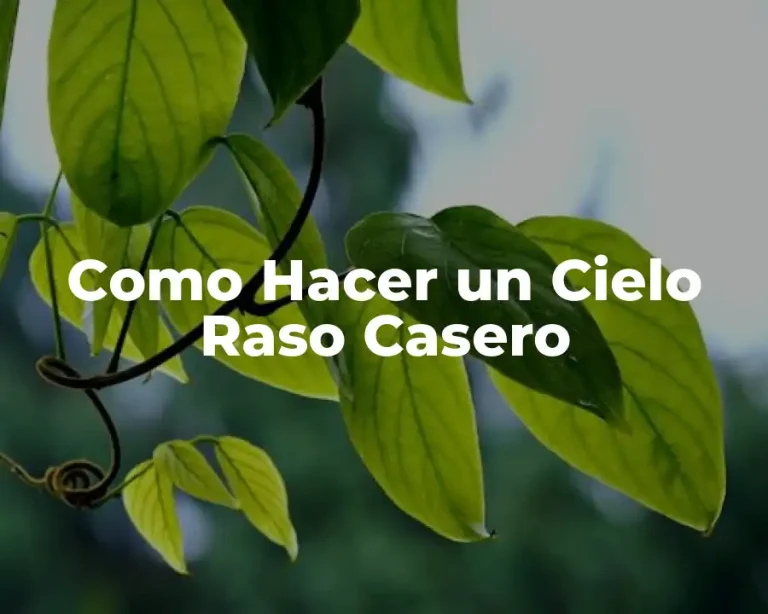 Como Hacer un Cielo Raso Casero