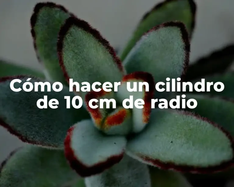 Cómo hacer un cilindro de 10 cm de radio
