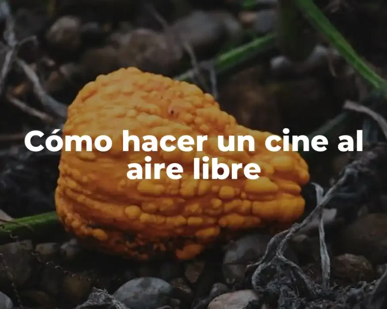 Cómo hacer un cine al aire libre