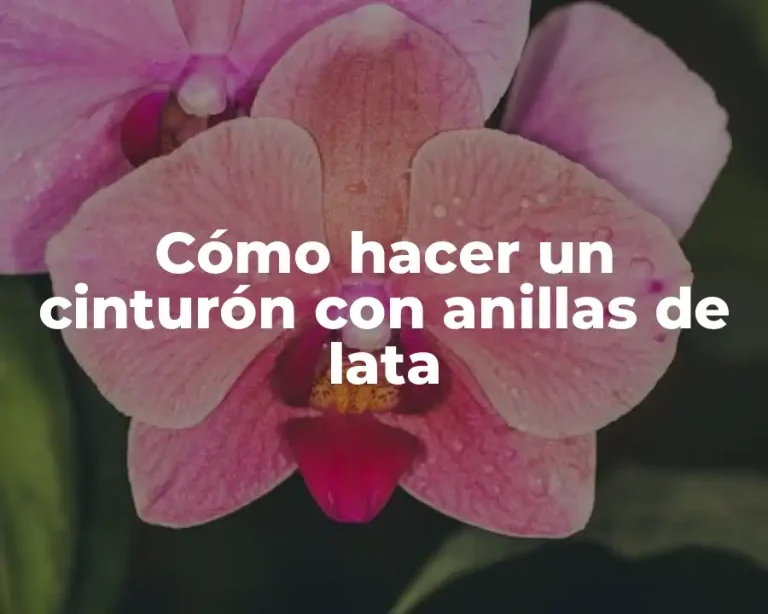 Cómo hacer un cinturón con anillas de lata