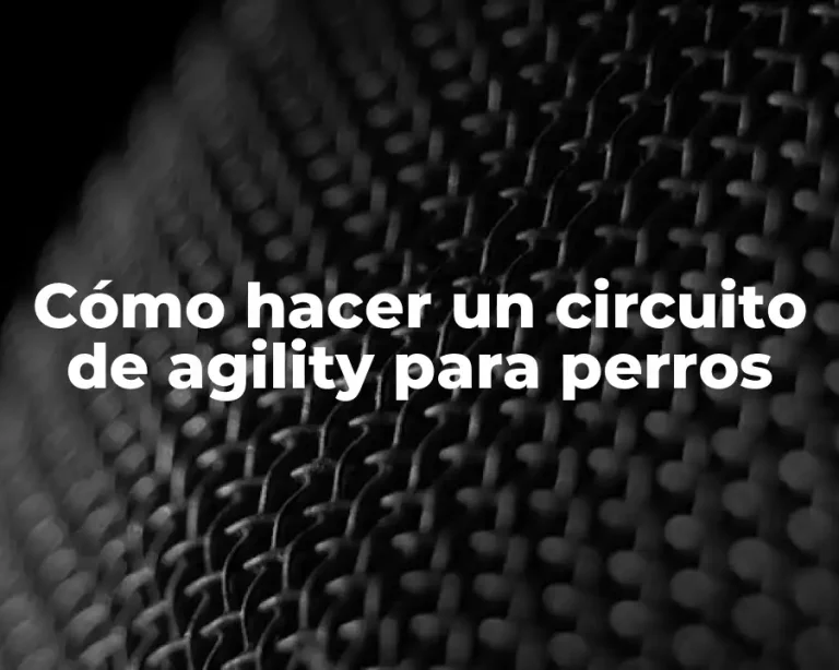 Cómo hacer un circuito de agility para perros