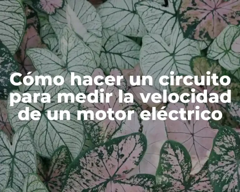 Cómo hacer un circuito para medir la velocidad de un motor eléctrico