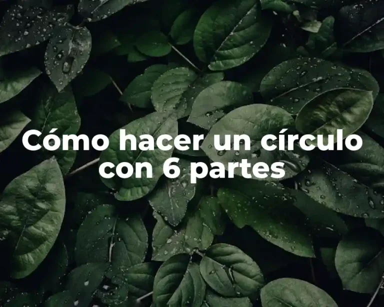 Cómo hacer un círculo con 6 partes