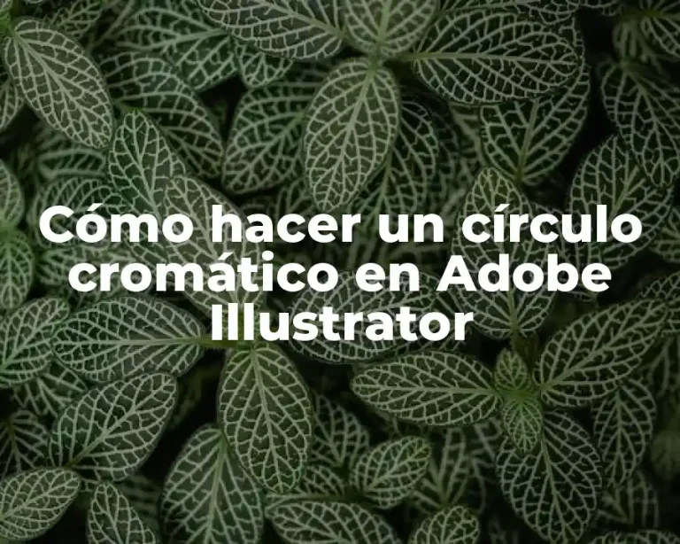 Cómo hacer un círculo cromático en Adobe Illustrator