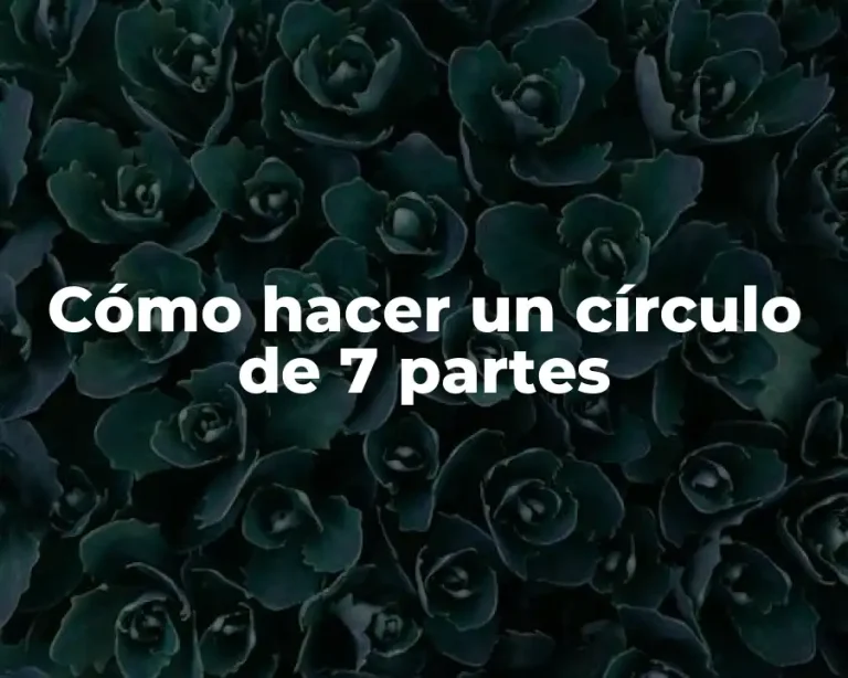 Cómo hacer un círculo de 7 partes