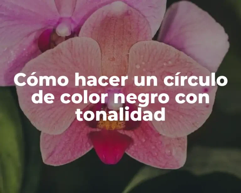 Cómo hacer un círculo de color negro con tonalidad