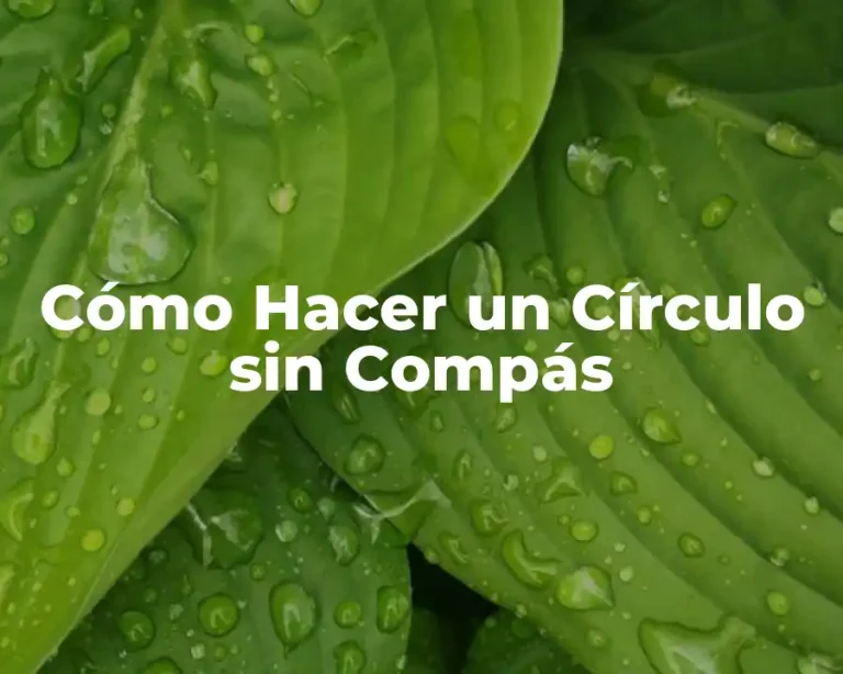 Cómo Hacer un Círculo sin Compás