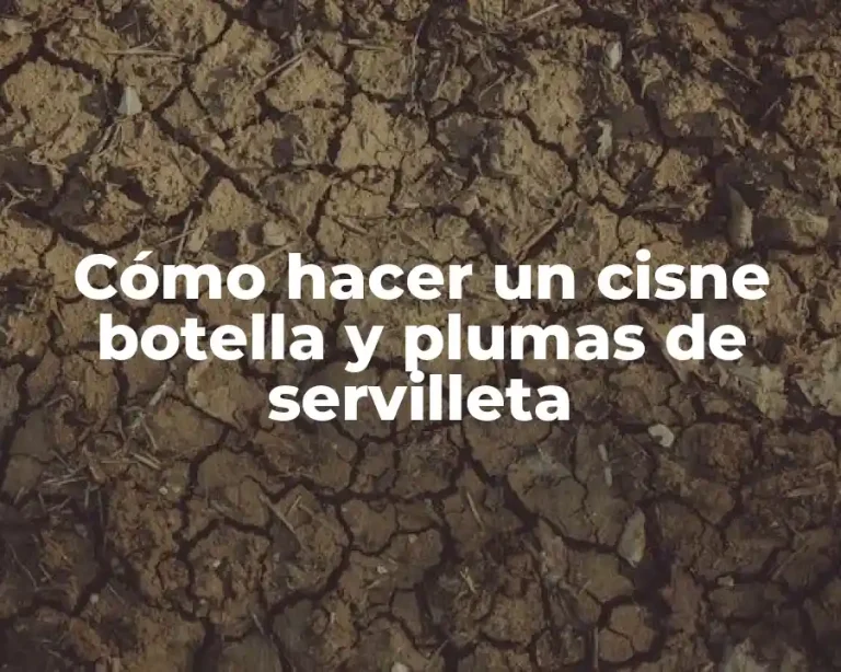 Cómo hacer un cisne botella y plumas de servilleta