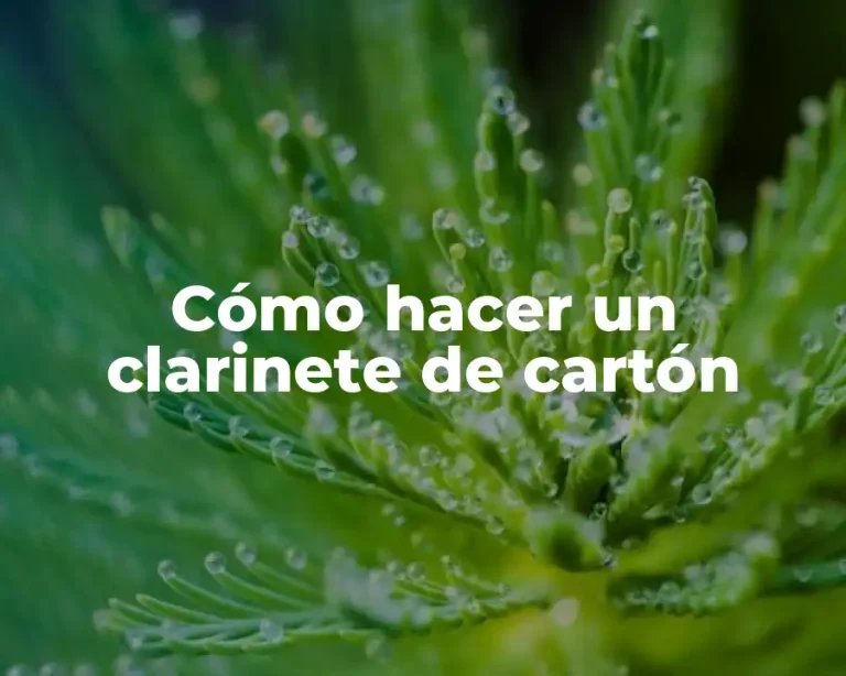 Cómo hacer un clarinete de cartón