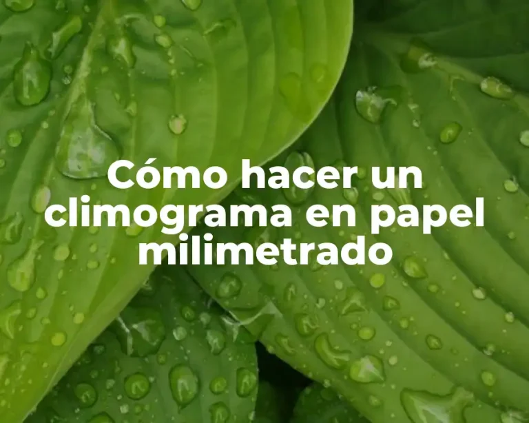 Cómo hacer un climograma en papel milimetrado