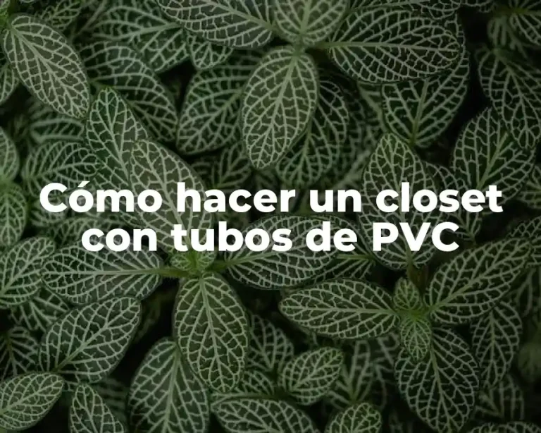 Cómo hacer un closet con tubos de PVC