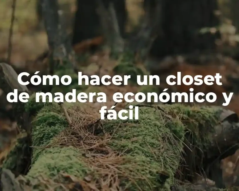Cómo hacer un closet de madera económico y fácil