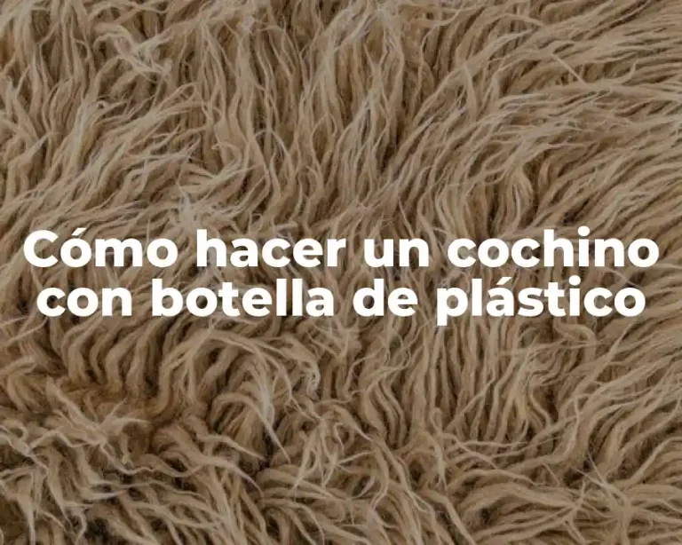 Cómo hacer un cochino con botella de plástico