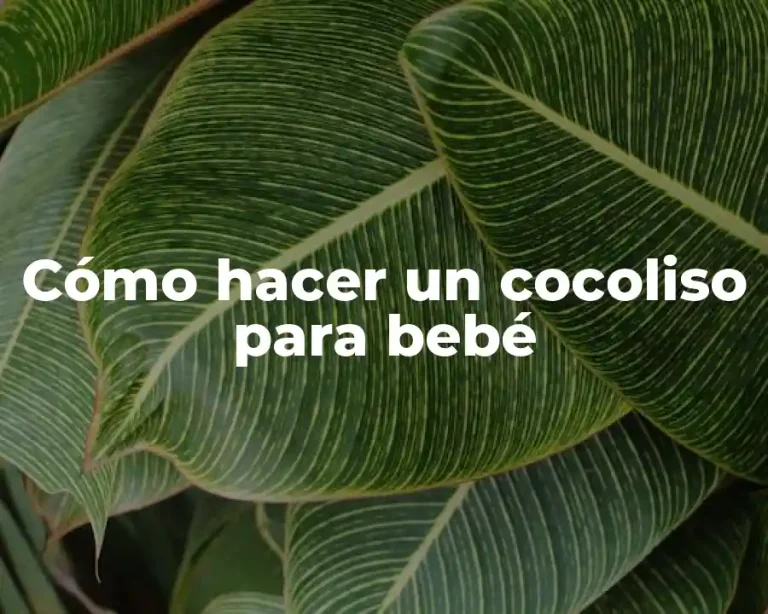 Cómo hacer un cocoliso para bebé