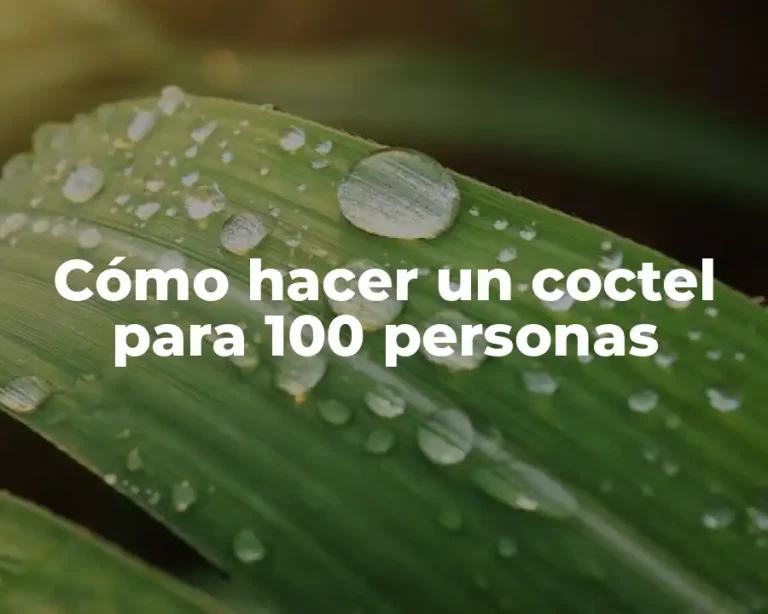 Cómo hacer un coctel para 100 personas