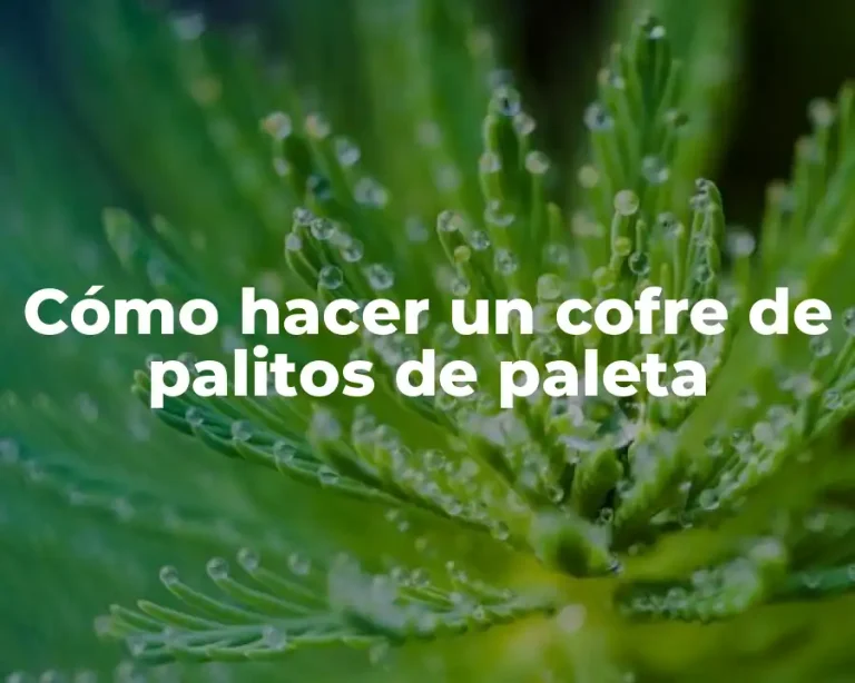 Cómo hacer un cofre de palitos de paleta