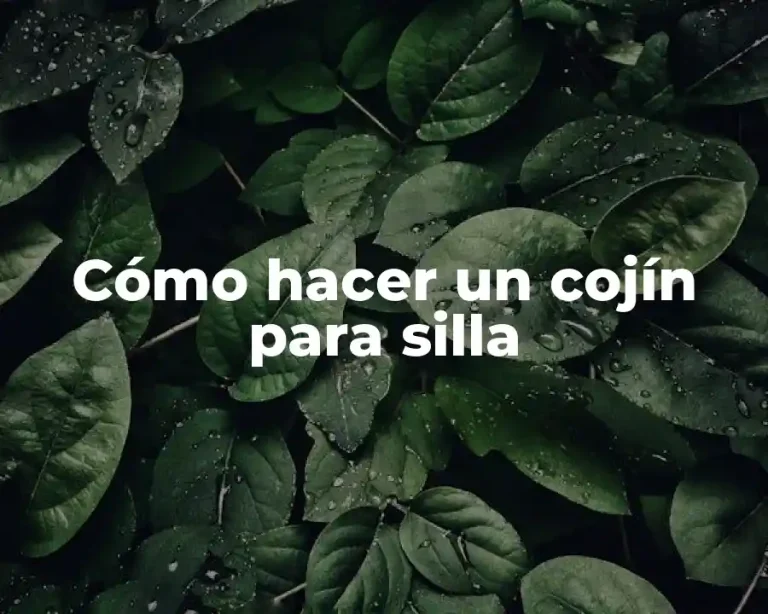 Cómo hacer un cojín para silla