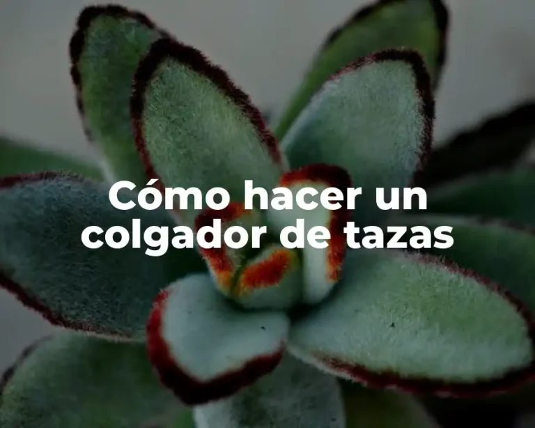 Cómo hacer un colgador de tazas