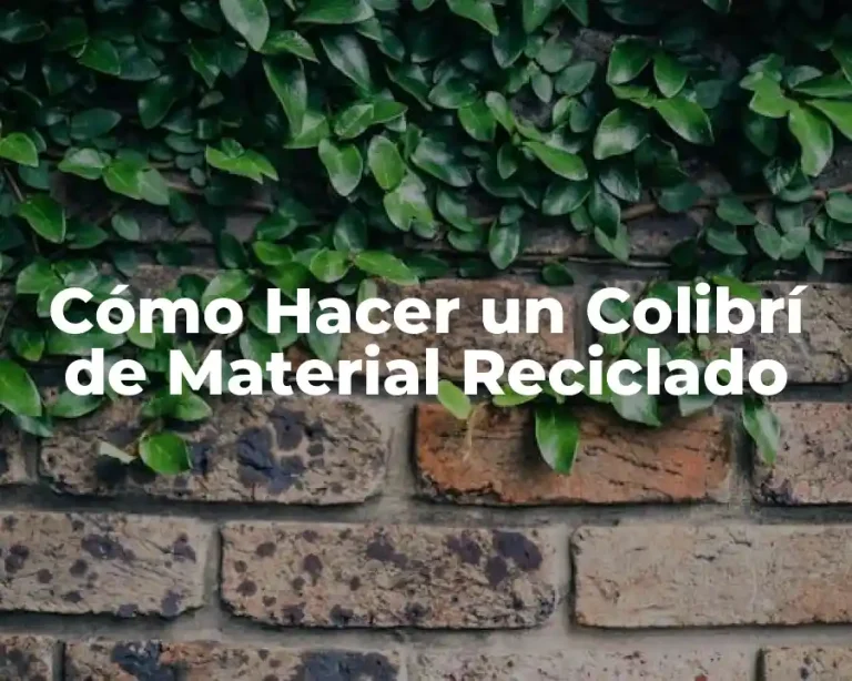 Cómo Hacer un Colibrí de Material Reciclado