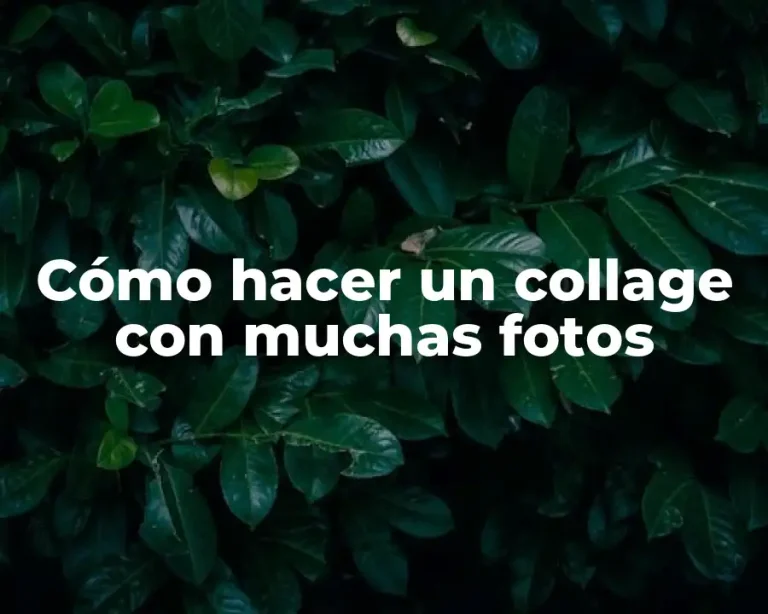 Cómo hacer un collage con muchas fotos