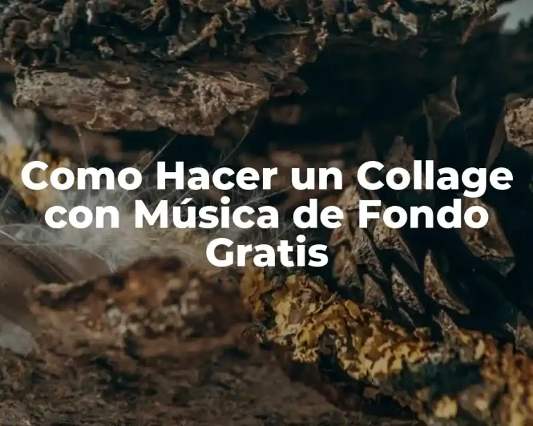 Como Hacer un Collage con Música de Fondo Gratis