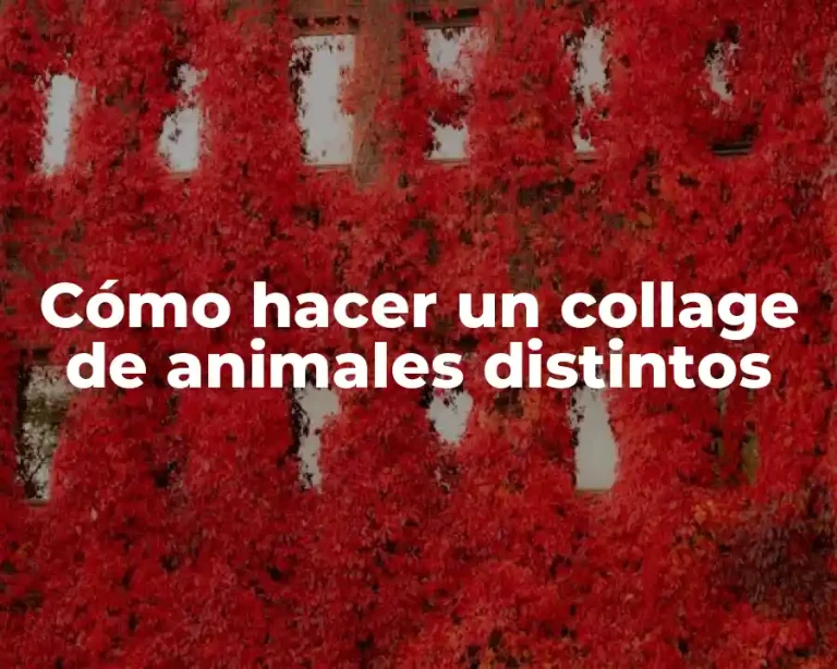 Cómo hacer un collage de animales distintos