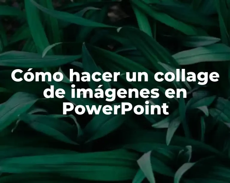 Cómo hacer un collage de imágenes en PowerPoint