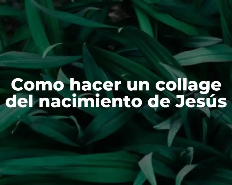 Como hacer un collage del nacimiento de Jesús