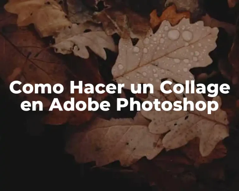 Como Hacer un Collage en Adobe Photoshop