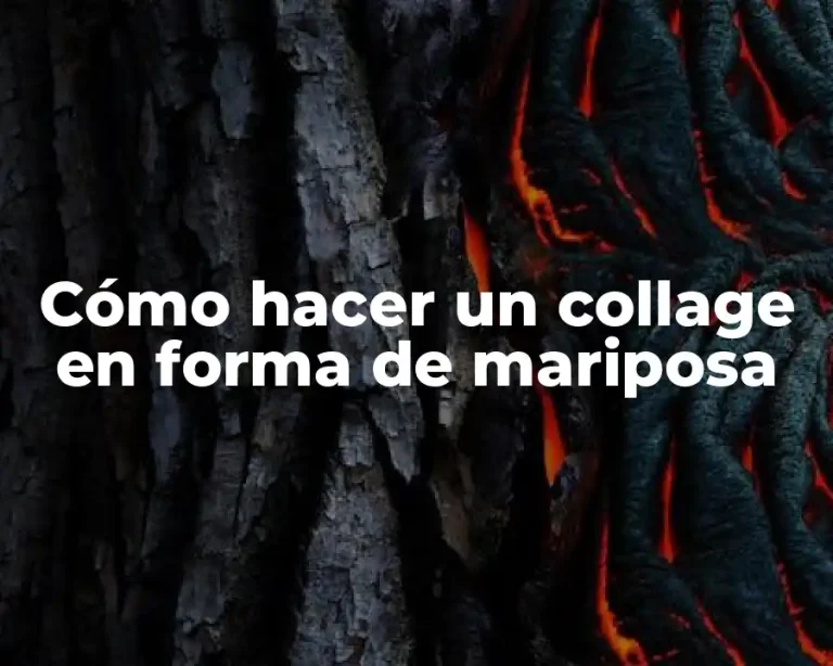 Cómo hacer un collage en forma de mariposa