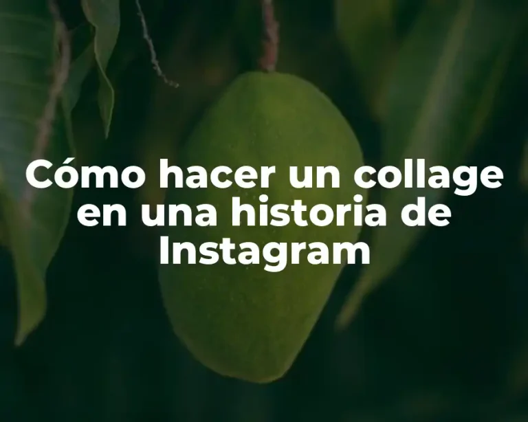 Cómo hacer un collage en una historia de Instagram