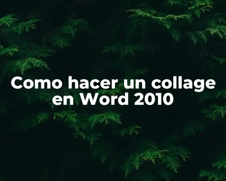 Como hacer un collage en Word 2010