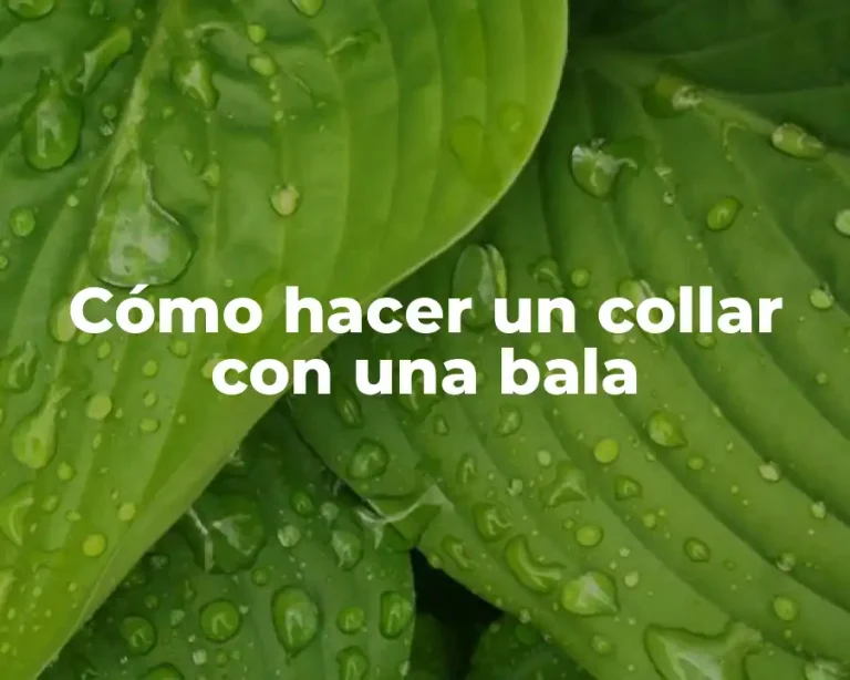 Cómo hacer un collar con una bala