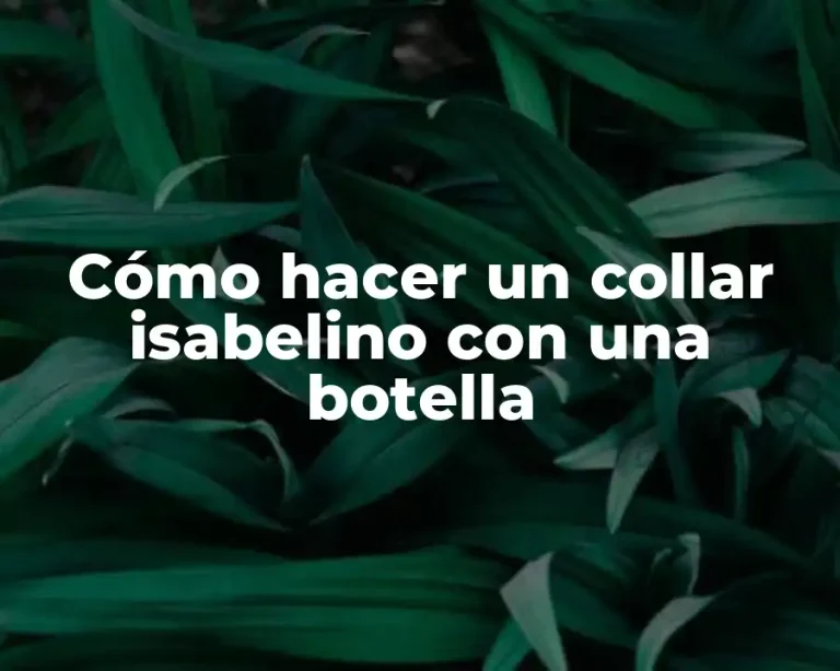 Cómo hacer un collar isabelino con una botella